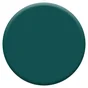 Peinture mur, boiserie crème de couleur DULUX VALENTINE émeraude satiné 2.5L