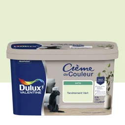 Peinture mur, boiserie, radiateur crème de couleur DULUX VALENTINE tendrement vert satiné 2.5L
