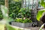 Carré potager ESTWOOD + géotextile l.120 x H.20 cm