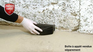 Céréales antirats et souris, PROTECT EXPERT, 150g