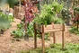Potager sur pieds MON PETIT POTAGER bois L.  70 x L.  70 x H. 78 cm