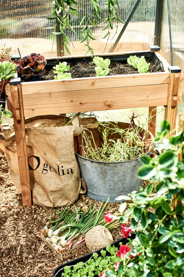 Potager sur pieds MON PETIT POTAGER bois L.  90 x L.  45 x H. 78 cm