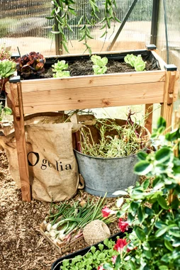 Potager sur pieds MON PETIT POTAGER bois L.  90 x L.  45 x H. 78 cm
