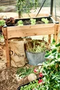 Potager sur pieds MON PETIT POTAGER bois L.  90 x L.  45 x H. 78 cm