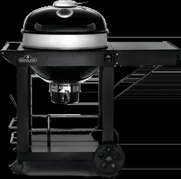 Barbecue au charbon de bois, Rodeo Pro NAPOLEON , noir