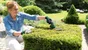 Taille-herbe sur batterie BOSCH Isio 3 + ciseaux de jardin L.12 cm 3.6 V