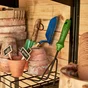 Transplantoir a soie forgee REVEX