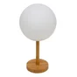 Lampe extérieur rechargeable usb module led, Luny, 110 Lumen, LUMISKY, blanc