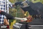 Barbecue et plancha au gaz, WEBER, noir