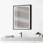 Miroir lumineux, l.60 x H.75 cm Swann