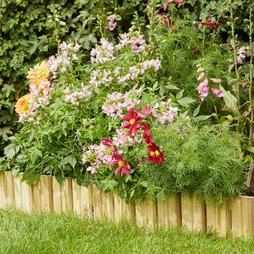 Bordure droite à planter bois naturel, H.15 x L.119.4 cm