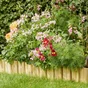 Bordure droite à planter bois naturel, H.15 x L.119.4 cm