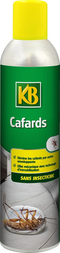 Anti-cafards aérosol cafard KB, 300 ml