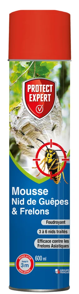 Mousse nid de guêpes et frelons, PROTECT EXPERT 600 ml
