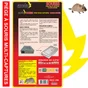 Piège à souris multi-captures, jusqu’à 10 souris