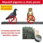 Répulsif pour pigeons et chats, 4 à 12 mètres
