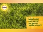 Chaux gazon SOLABIOL 10 kg 100 m²