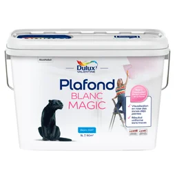 Peinture plafond blanc mat DULUX VALENTINE Magic 5L