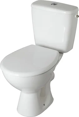 Pack WC à poser sortie horizontal, fermée non émaillée Element nf, GODART