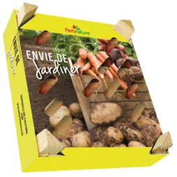 Pack de bulbe et plant de pommes de terre, mixte culinaire