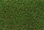 Gazon artificiel FILI 100% recyclable, 2x4m, 25mm
