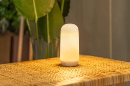 Ampoule decorative rechargeable Candy 200 Lumen blanc NEWGARDEN