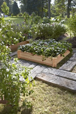 Carré potager naturel L.100 x l.100 x H.28 cm