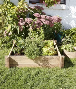 Carré potager naturel L.80 x l.80 x H.21 cm