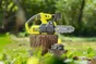 Tronçonneuse élagueuse sur batterie RYOBI Ry18cs20a-125 18 V, guide de 20 cm