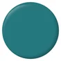 Peinture bleu pop mur, boiserie, radiateur RIPOLIN mat 0.5 l