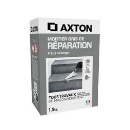 Mortier de réparation gris AXTON, 1.5 kg
