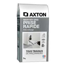 Mortier à prise rapide gris AXTON, 5 kg