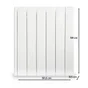 Radiateur électrique à inertie fluide 1000 W HJM Alanis horizontal blanc