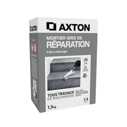 Mortier de réparation gris AXTON, 1,5 kg