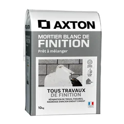 Mortier de finition blanc AXTON, 10kg