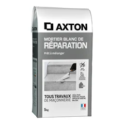 Mortier de réparation blanc AXTON, 5 kg