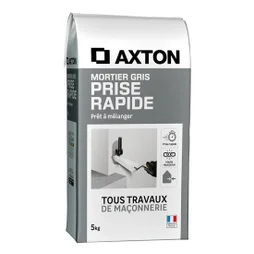 Mortier à prise rapide gris AXTON, 5 kg
