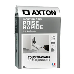 Mortier à prise rapide gris AXTON, 10 kg