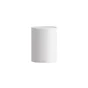 Chauffe-eau electrique vertical mural SAUTER Bajawa, 100 l