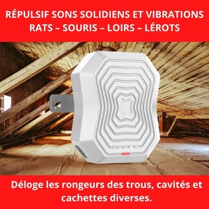Répulsifs rats, souris, loirs, lérots - spécial combles cloisons - protège 150 m²