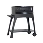 Barbecue four à pizza multicook
