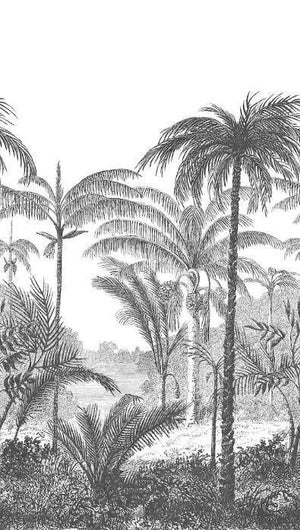 Papier peint panoramique Palm Scenery noir et blanc l.159 x H.280 cm