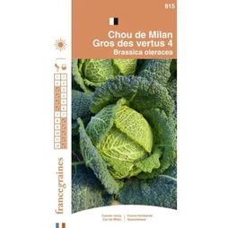 France Graines - Chou Gros des Vertus 2g
