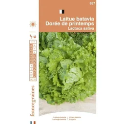 France Graines - Laitue Batavia Doré Printemps 3g
