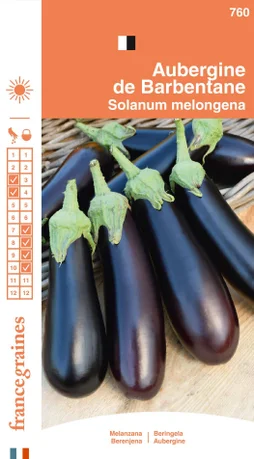 Aubergine de barbentane