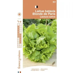 France Graines - Laitue Batavia Blonde de Paris 3g