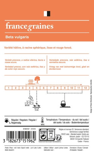 Betterave potagere de detroit