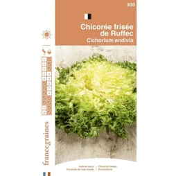 France Graines - Chicorée Frisée de Ruffec 3g