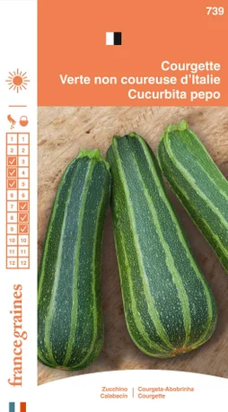 Courgette non coureuse