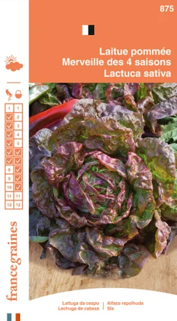 Sachet graines laitue pommée merveille des quatre saisons, FRANCE GRAINES, 3 g